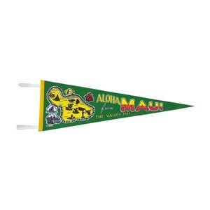 Vtg Aloha From Maui The Valley Isle Felt Pennant Souvenir Green‎ Yellow Red